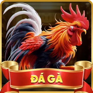 Bước 3: Cài Đặt File APK