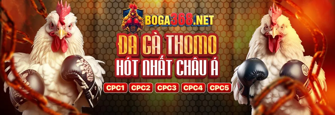 Hình ảnh một trận đá gà kịch tính tại g666 đá gà, minh họa chiến lược nâng cao