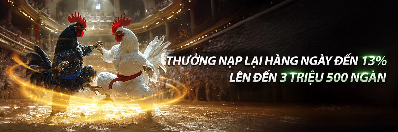 G666 Đá Gà: Trận đấu gà trực tuyến kịch tính tại sới gà chuyên nghiệp